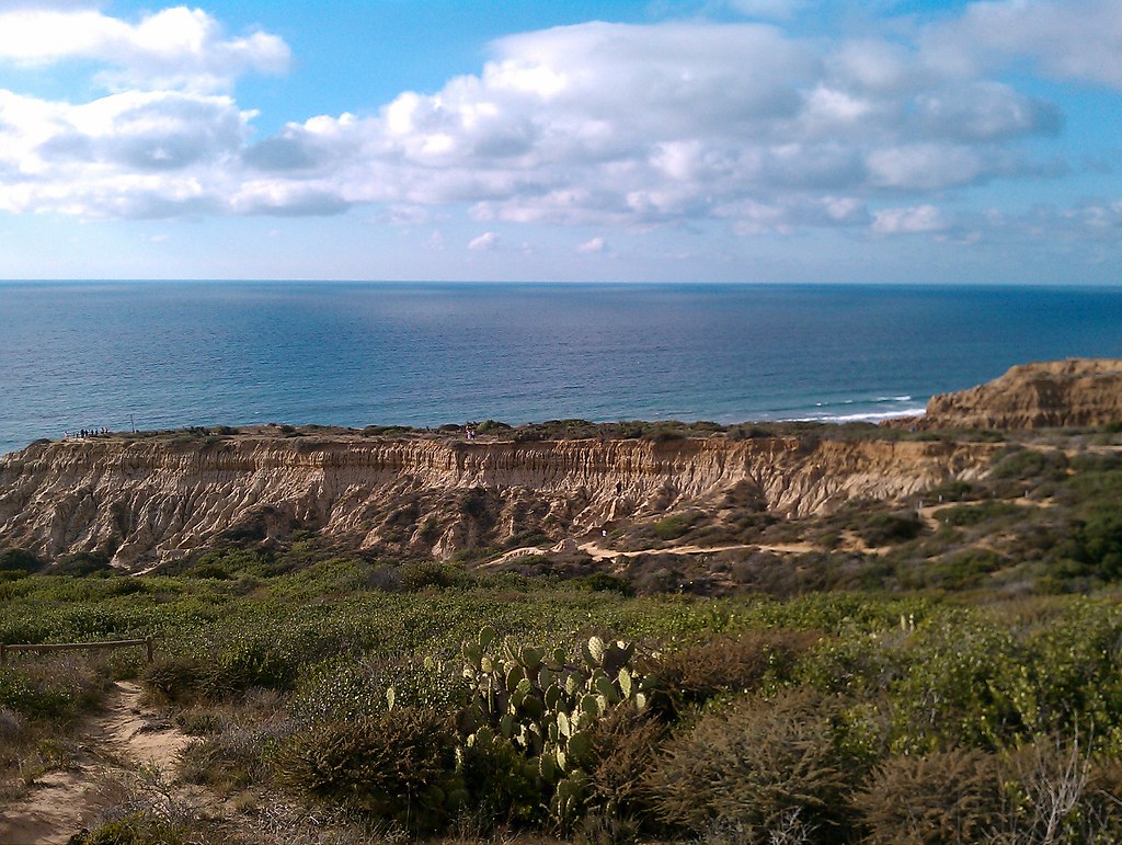 Torrey Pines State Reservee slworking2 Flickr