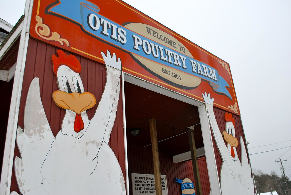 to the otis poultry farm! sminp Flickr
