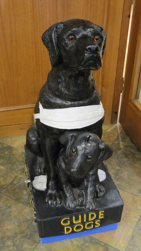 Guide Dogs collecting box Collecting box for Guide Dogs (t… Flickr