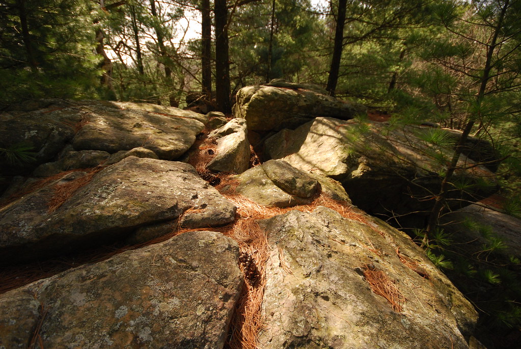 On Top of Pine Cliff Pine Cliff Wisconsin State Natural Ar… Flickr