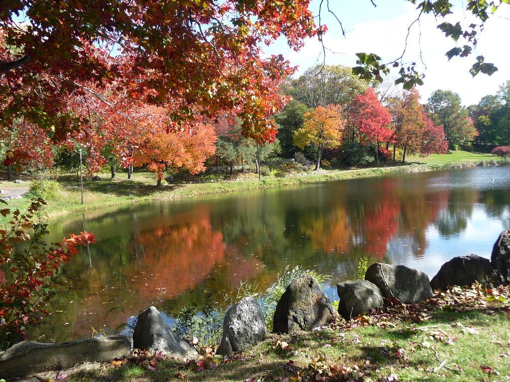Fulton Park, Waterbury, CT Lower Pond ildavenport Flickr
