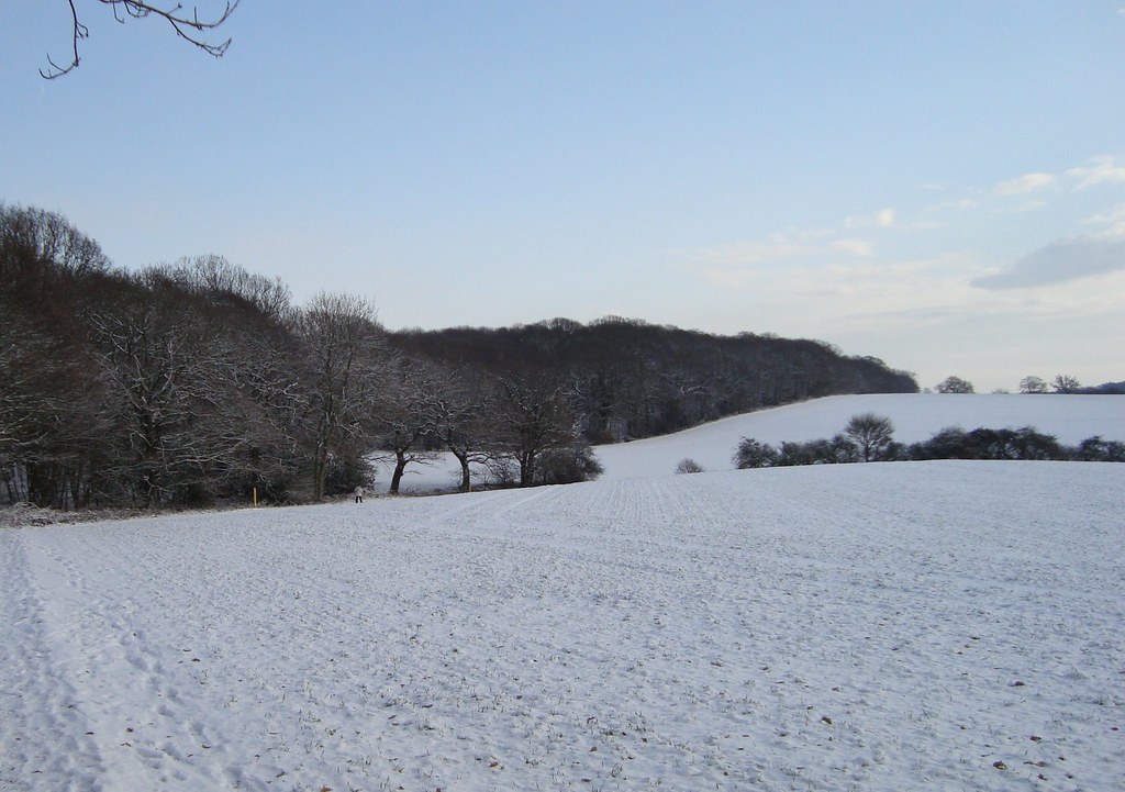 Bullwood footpath Path at southwest edge of Hockley Woods… John