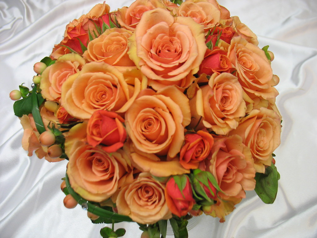 Oranges Orange Unique Roses, Orange Mambo Spray Roses, Hyp… Flickr