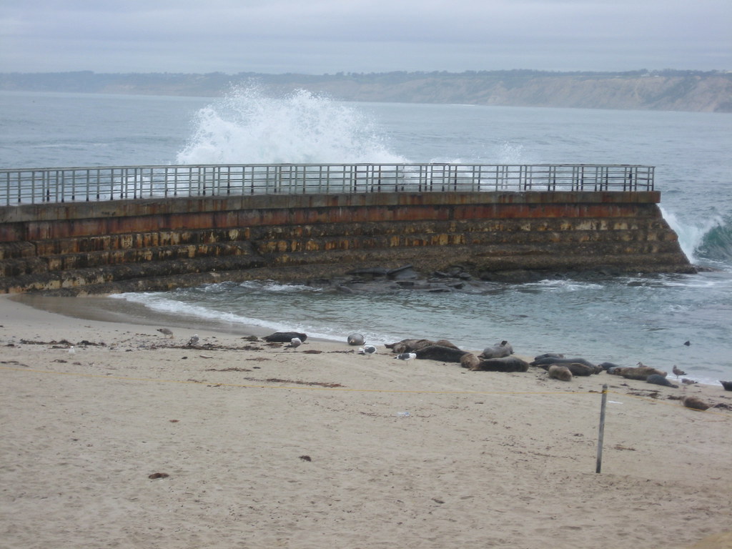 Seal Beach La Jolla California Trip to San Diego March 2… Flickr