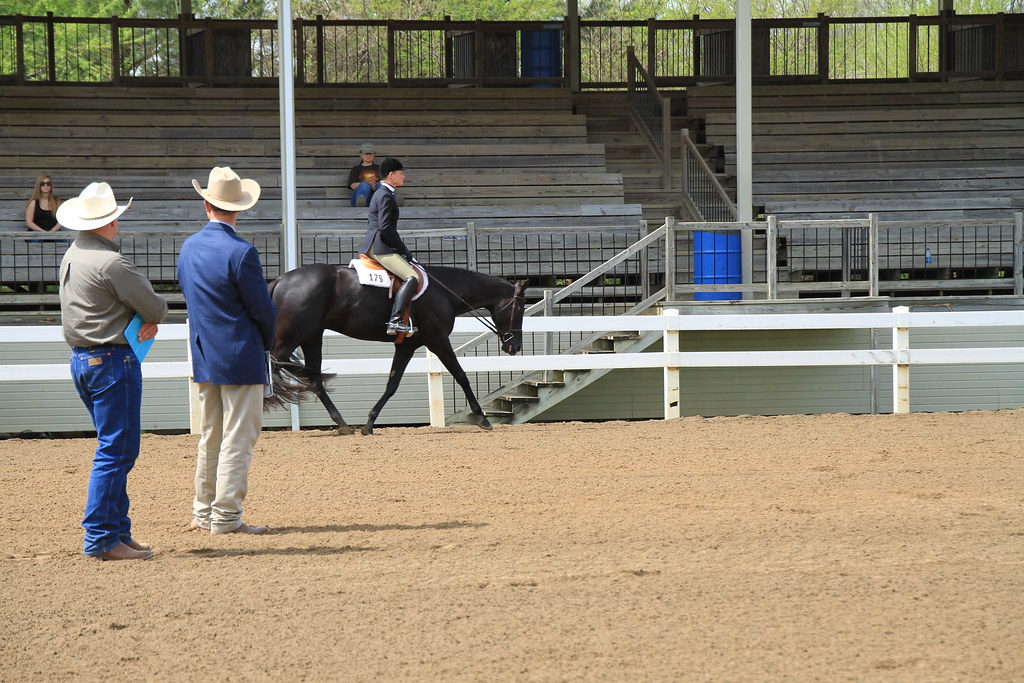 Virginia Quarter Horse Classic April 8 Virginia Quarter Horse Flickr