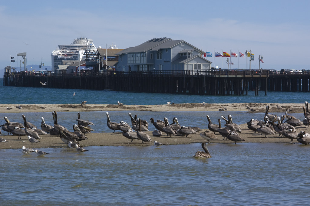 Think I Might Be Sinking | Stearns Wharf | Damian Gadal | Flickr