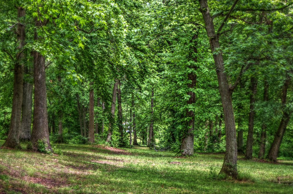 MedfordPark44.jpg J.D. Thomas Flickr