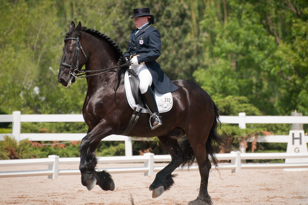 Lamplight_Dressage_04976.jpg Bob Haarmans Flickr