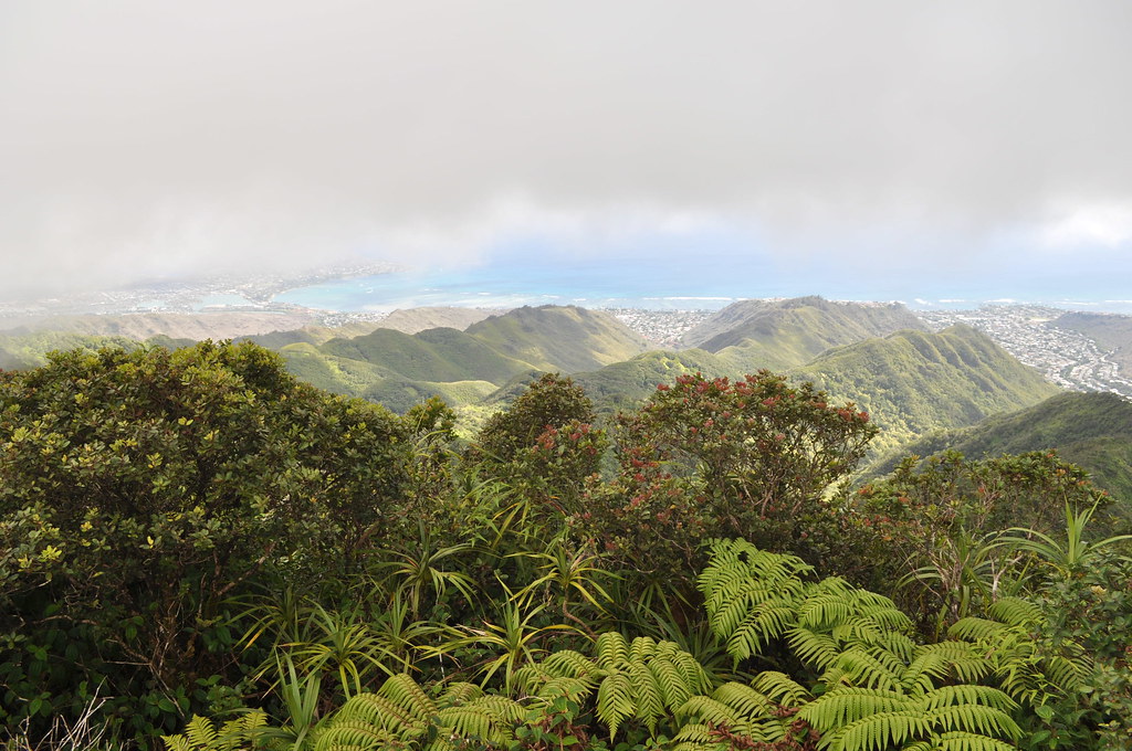 Mountain Top View View of Hawaii Kai and Aina Haina valley