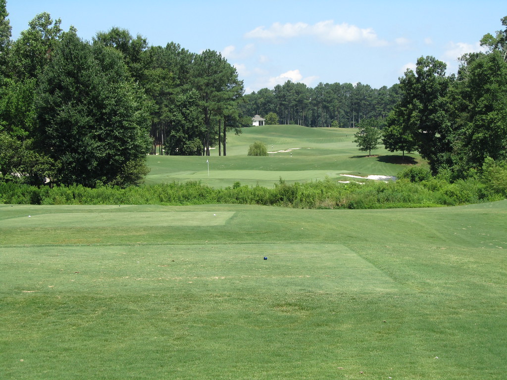 The Frog Golf, Villa Rica, GA Read my The Frog Golf