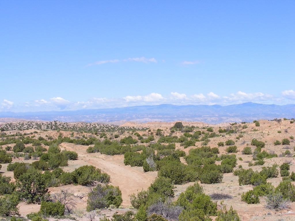 Picture from the Jemez Mountains This is a picture from th… Flickr
