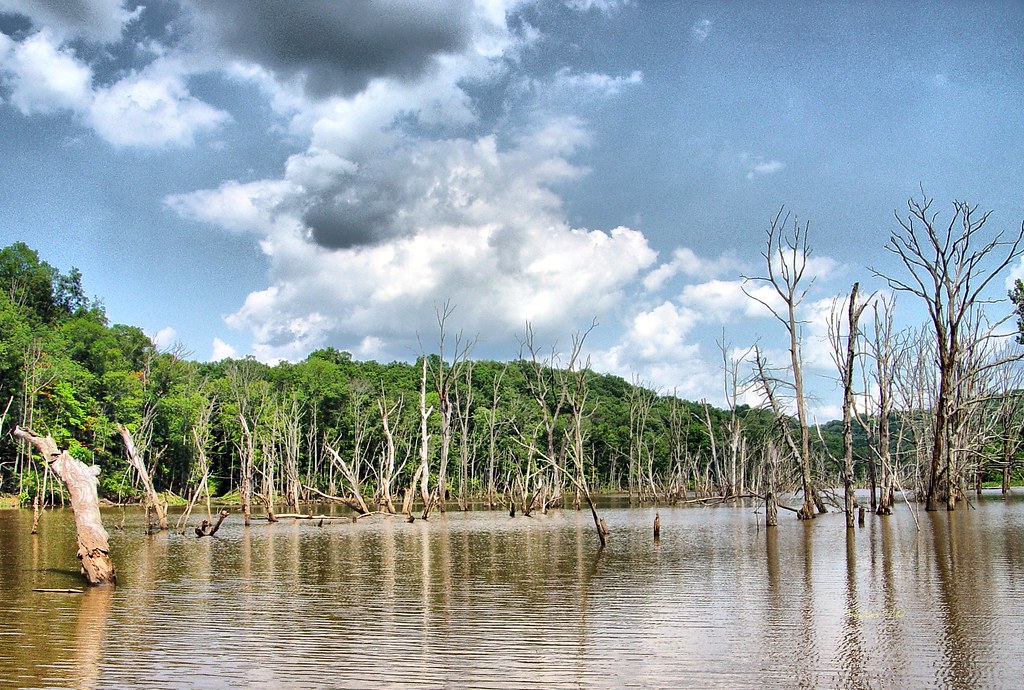 North Bend State Park Lake The backwaters of the 305 acre … Flickr