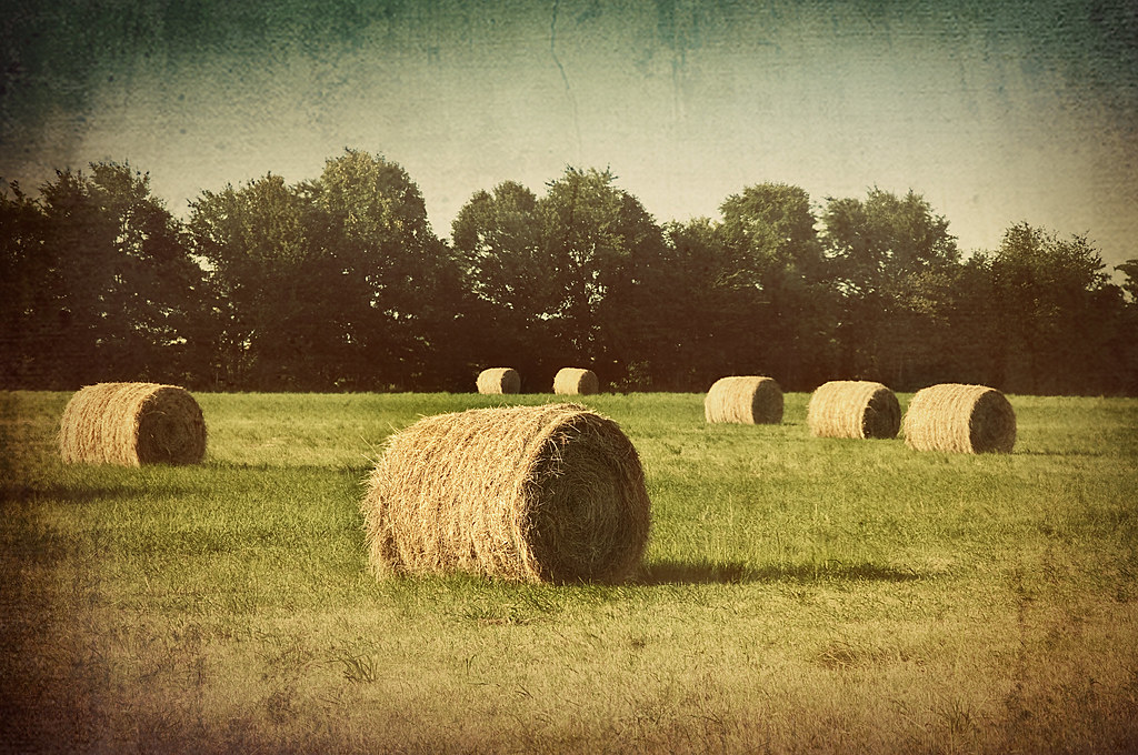 Bales o hay Somewhere on the road between B'ham and Tulsa.… Flickr