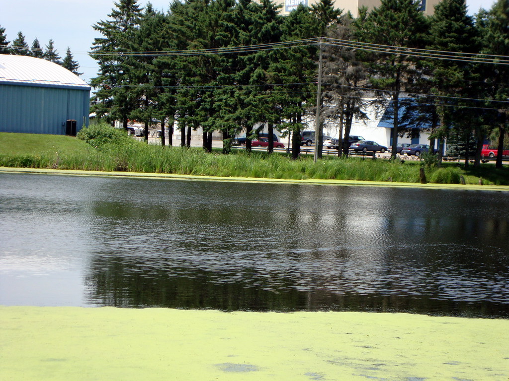Owen Pond In Owen, Wisconsin Mark Flickr
