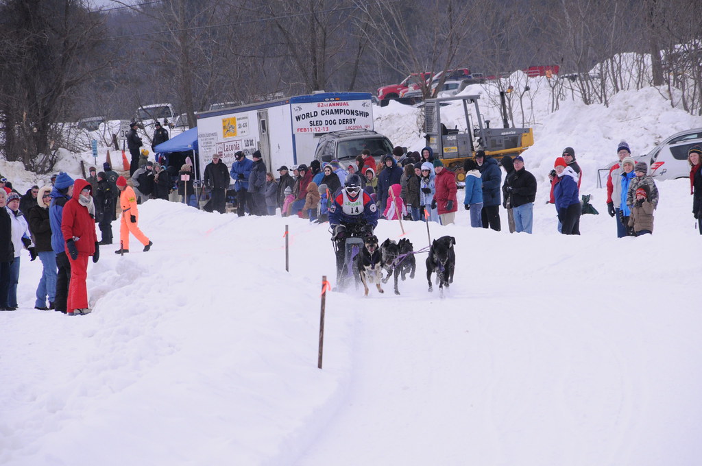 World Championship Sled Dog Derby Laconia, NH February 12,… Flickr