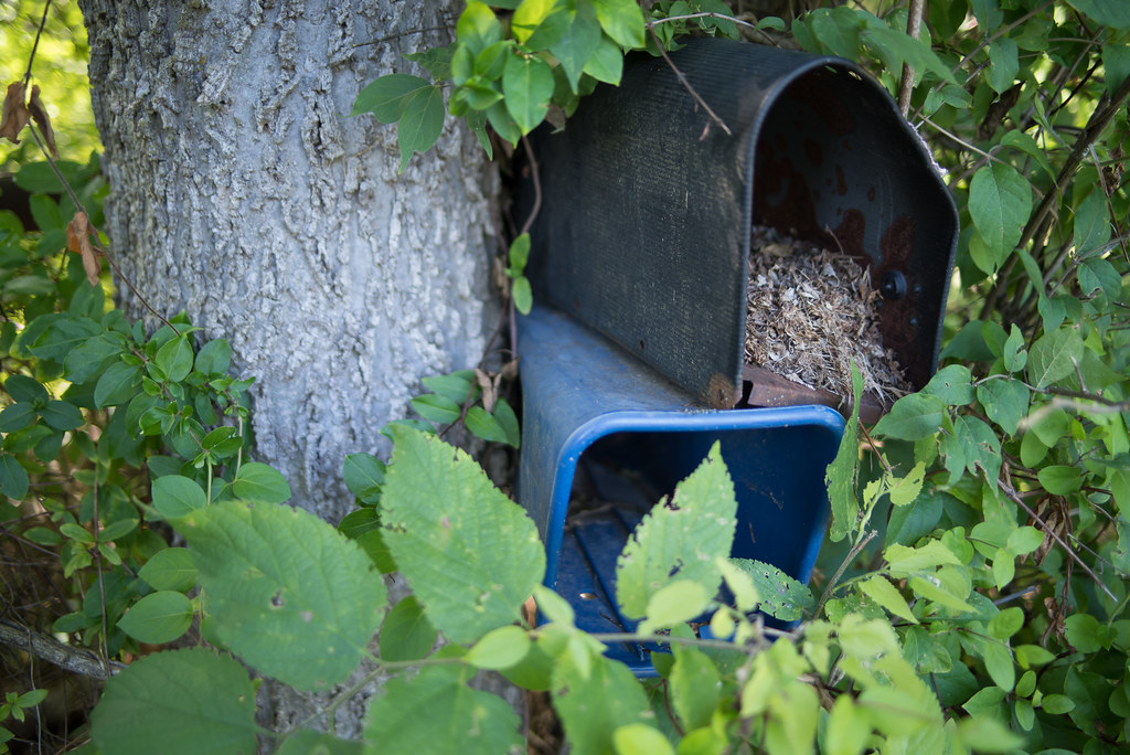 Brighton East trail Lexington, Kentucky shared use paths Boyd