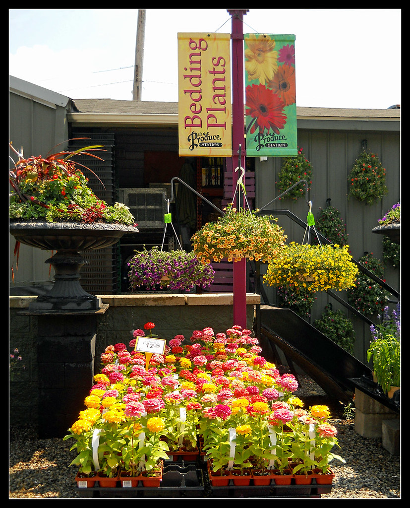Produce Station in Ann Arbor a photo on Flickriver
