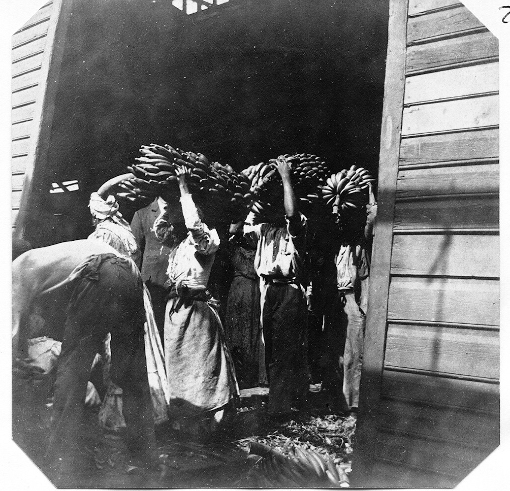 Loading Bananas, Kingston, Jamaica, 1905 Item Title Load… Flickr