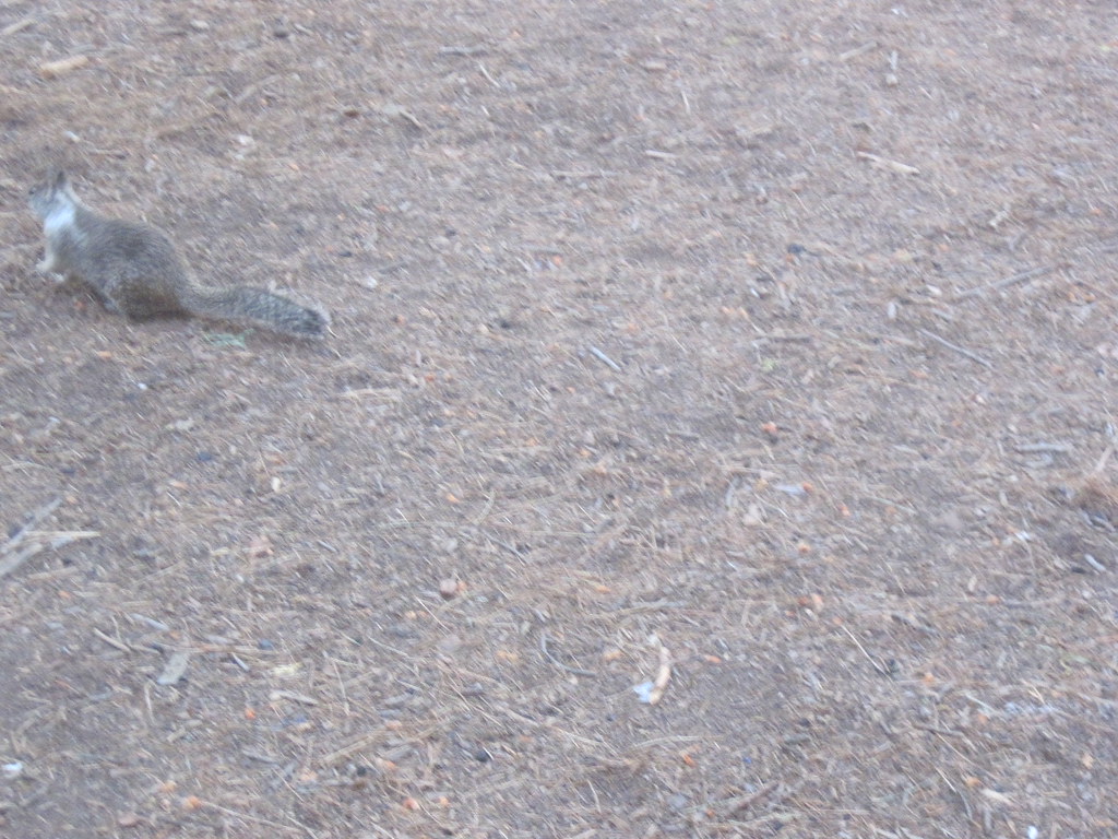 Kings Canyon August 1920, 2010 James Fujita Flickr