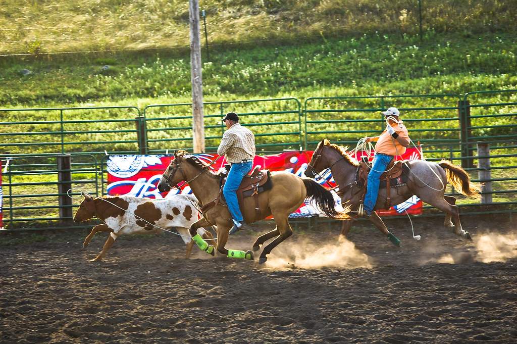 Roping16 Roping Arena Belcourt North Dakota, Also known as… Flickr