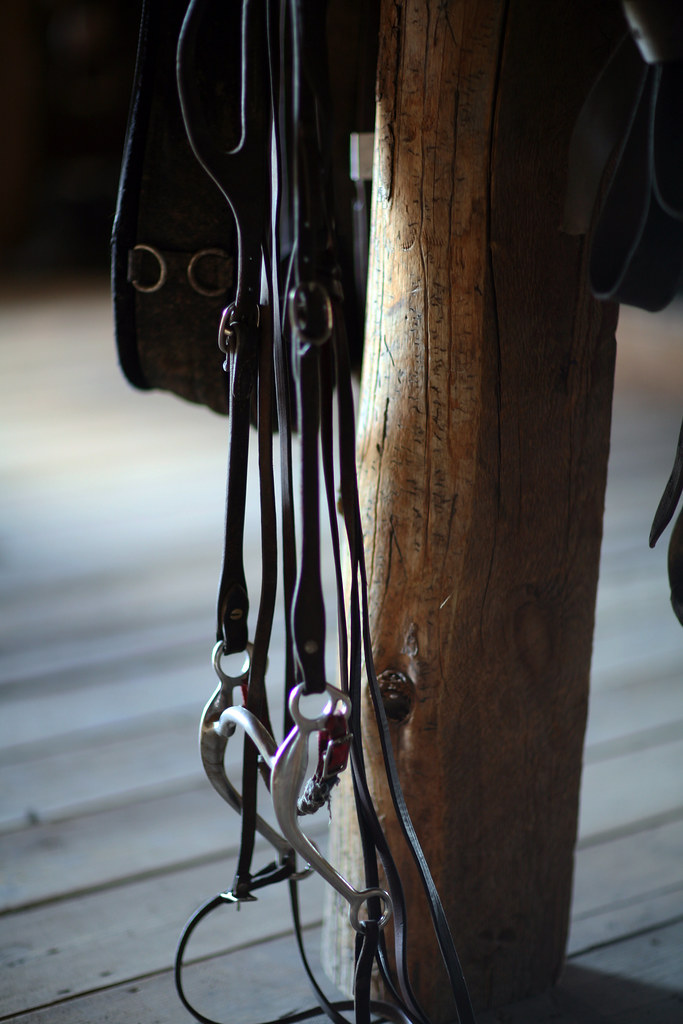 Tack Room Erik Charlton Flickr