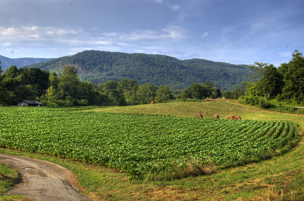 Lee County Baccer Field 2 mkw87 Flickr