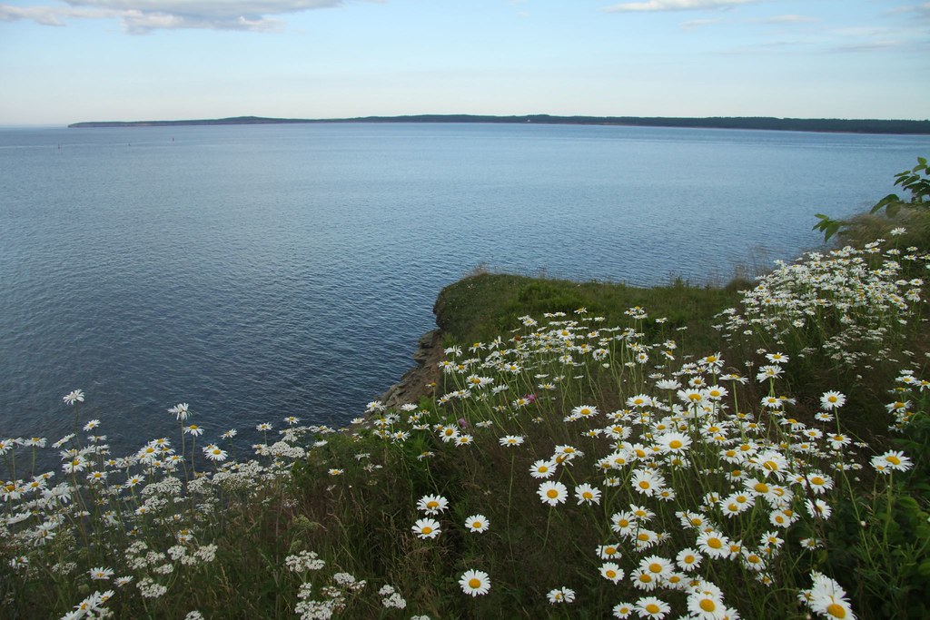 Port Morien Views liz Flickr