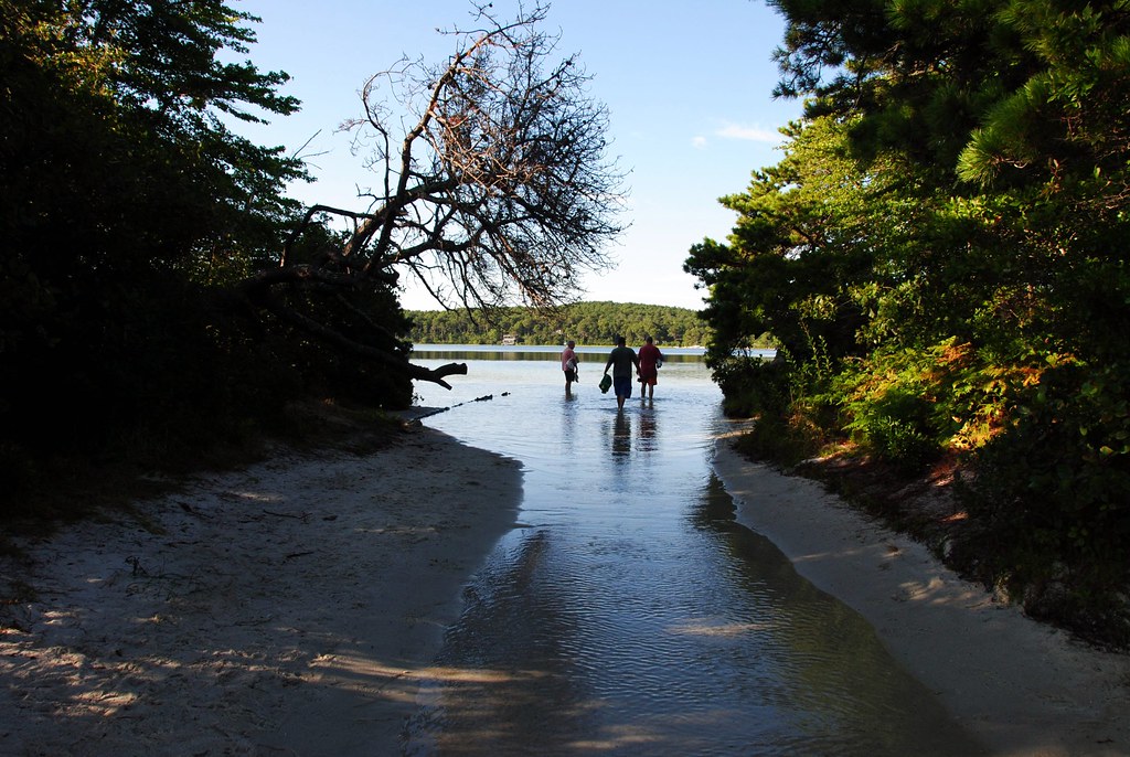 Gull Pond Sluiceway Wellfleet, Cape Cod, Massachusetts. Th… Flickr