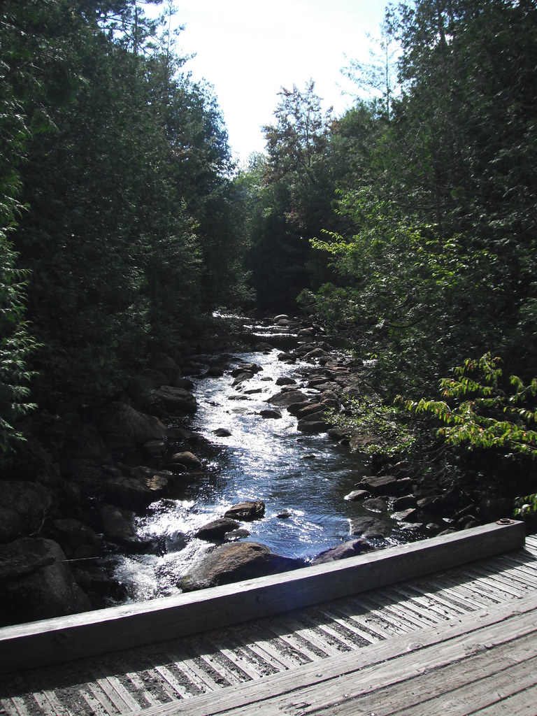 Headwaters of the Hudson River Near Wallface Mt. Sara & Doug