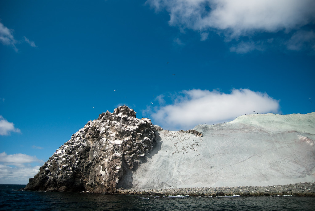 corps mort Christophe Flickr