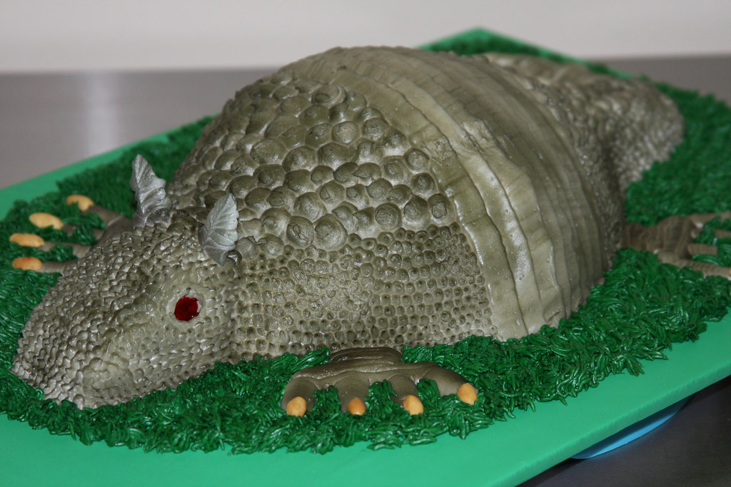Bleeding Armadillo cake Bleeding Armadillo cake red velvet… Flickr