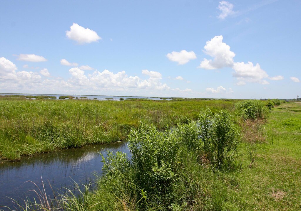 IMG_2429 Pointe Aux Chenes / Pointe au Chien , Louisiana T… Flickr