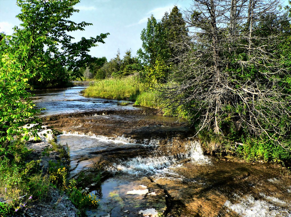 Black Creek Black Creek near Scott's Mill MIlford, Ontario