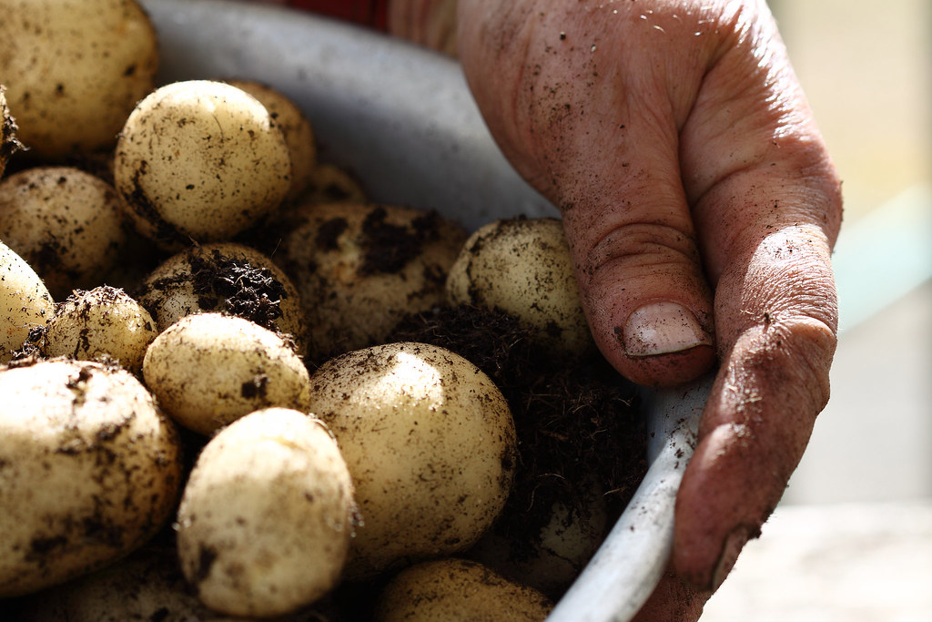 Copse Mead, Woodley Richard Connell Flickr