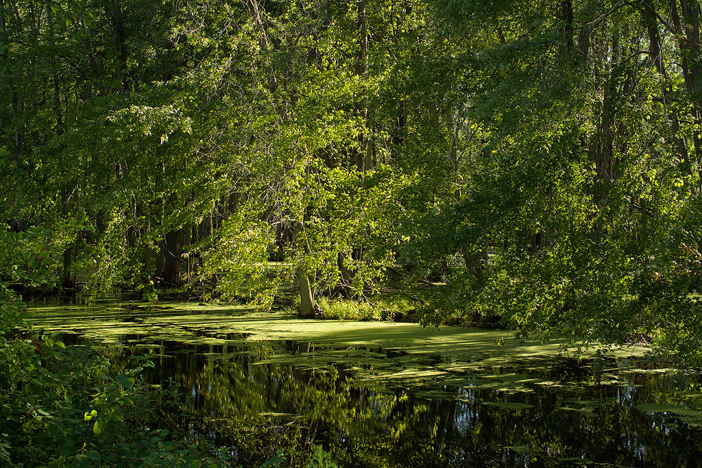 Holland Marsh 2 View Larger Dan Martin Flickr