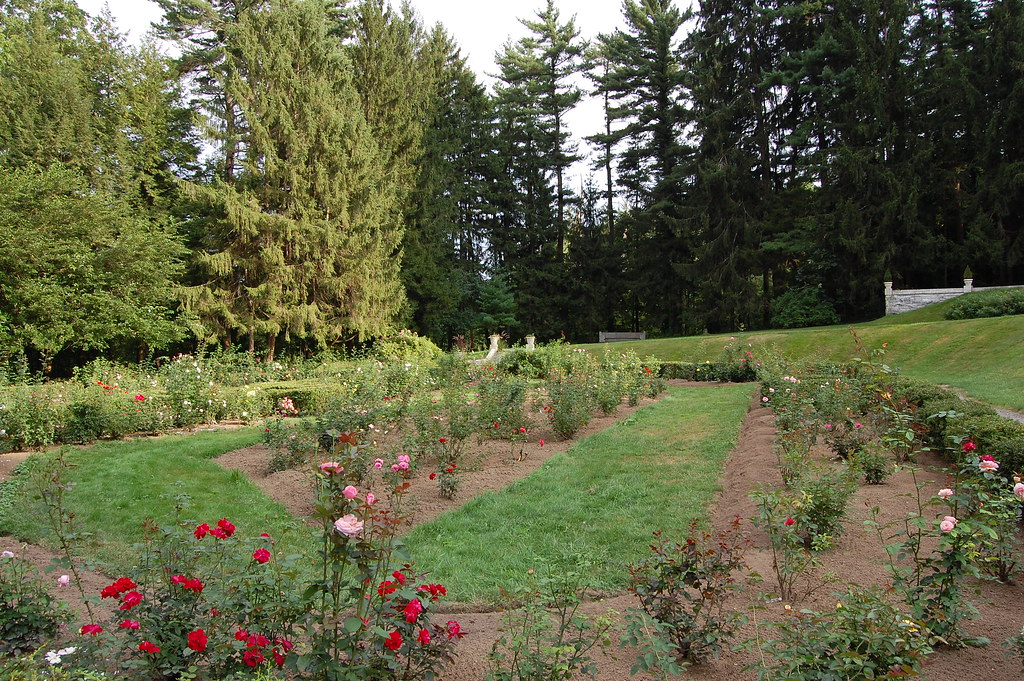 Yaddo Gardens Rose Garden Another look at a section of t… Flickr
