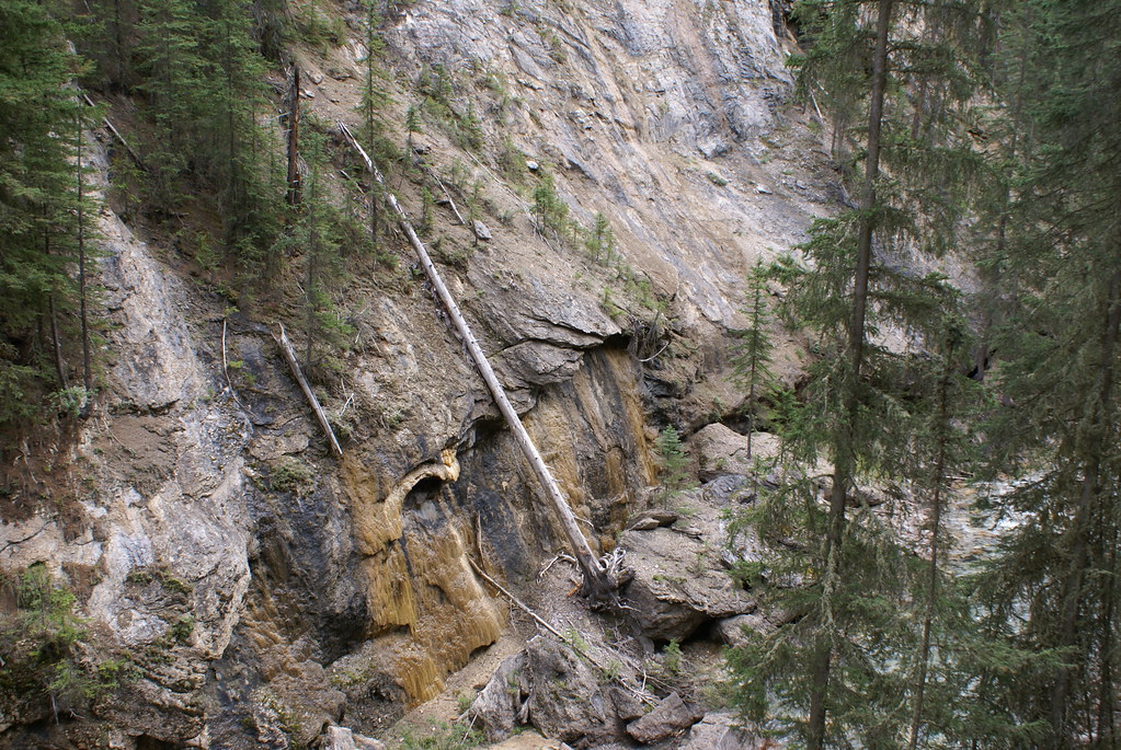 DSC06563 Johnson Creek Trail, Castle Junction, Alberta, Ca… Flickr