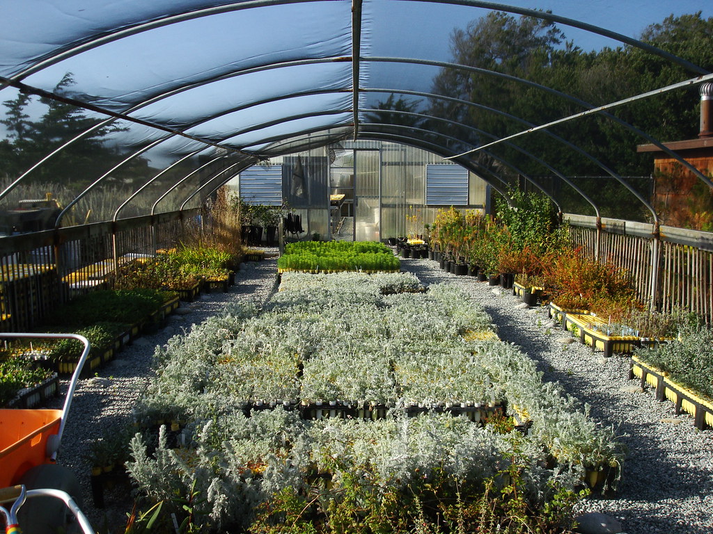 Native Plant Nursery They've been using this nursery to re… Flickr