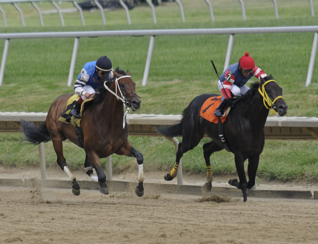 Delaware Park Horse Racing 072210 Delaware Park Horse Raci… Flickr