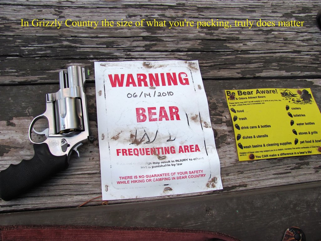 If you're going to bring a gun into the Backcountry Flickr