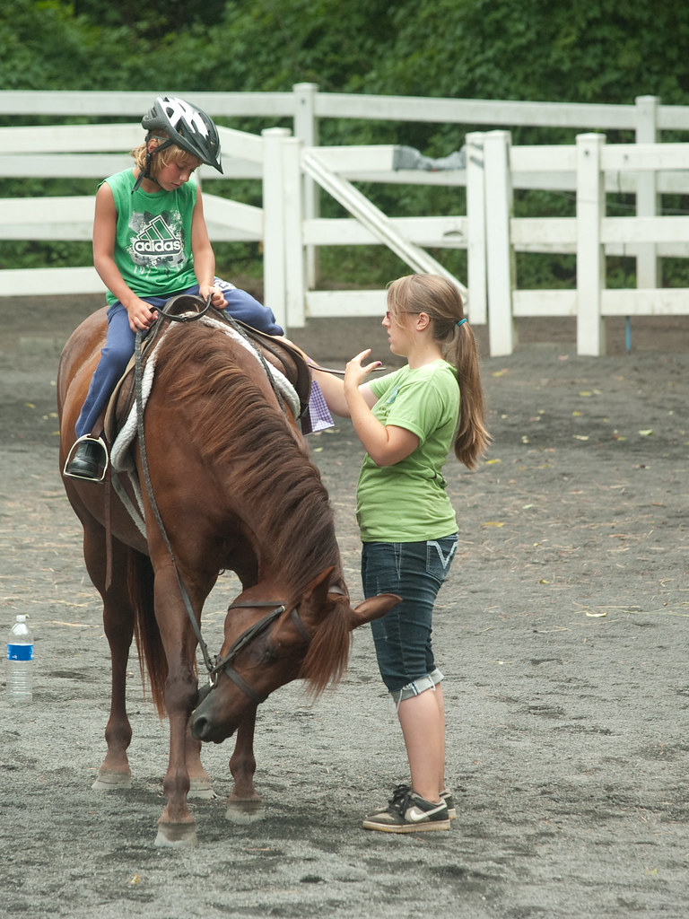 Horseback Riding Shows, Philadelphia PA Willow Grove Day… Flickr