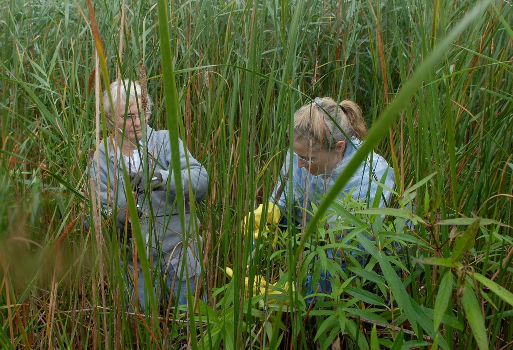 Pitching in Carole Plunkey, Van Etten Lake Association Cha… Flickr