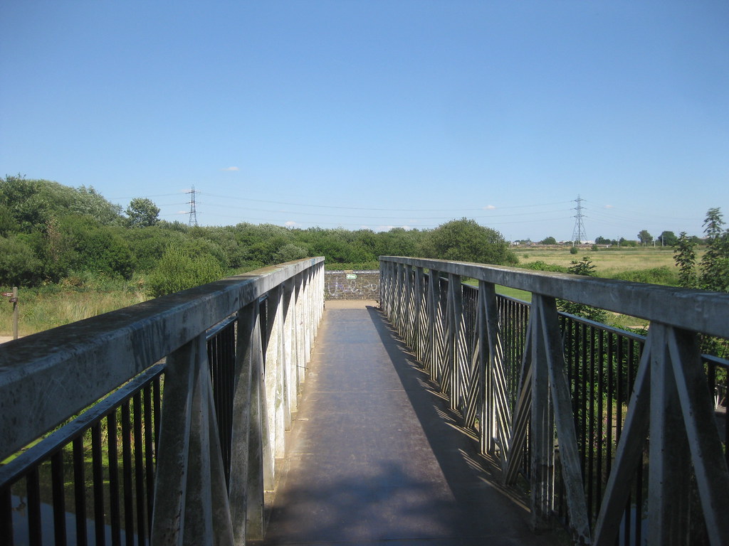 River Lea Walk, towards Walthamstow Marshes July 2010 bluebeart