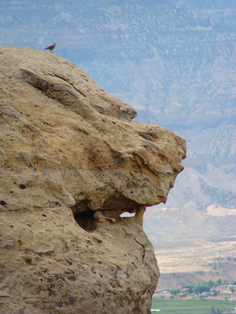 Mt Garfield photo by Calvin jimmy thomas Flickr