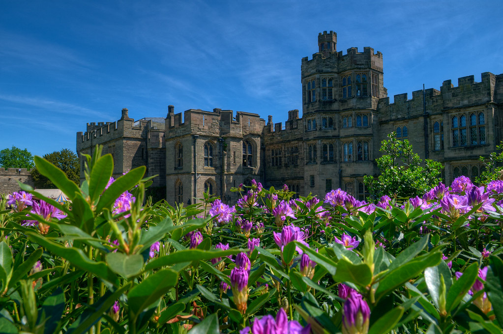 Warwick Flowers Mark Doescher © 2010 ouphotoguy Flickr