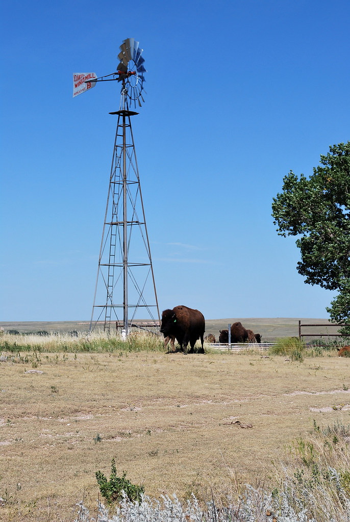 St. Jacob's Well Bison Lane Pearman Flickr