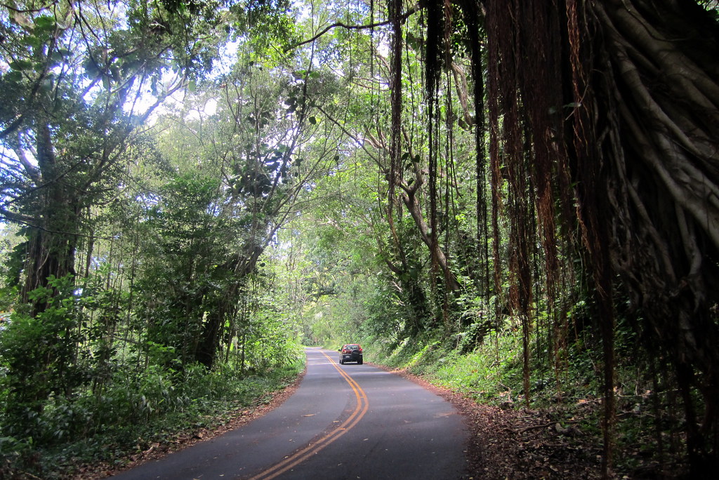 O'ahu Tantalus Road Wally Gobetz Flickr