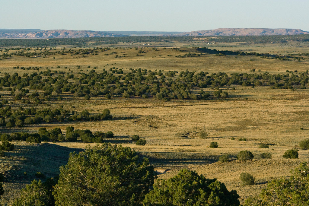 San Carlos Road at Millie Portillo blog