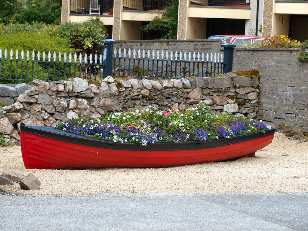 flower power,galway bay ireland. all rights reservedDo not… Flickr