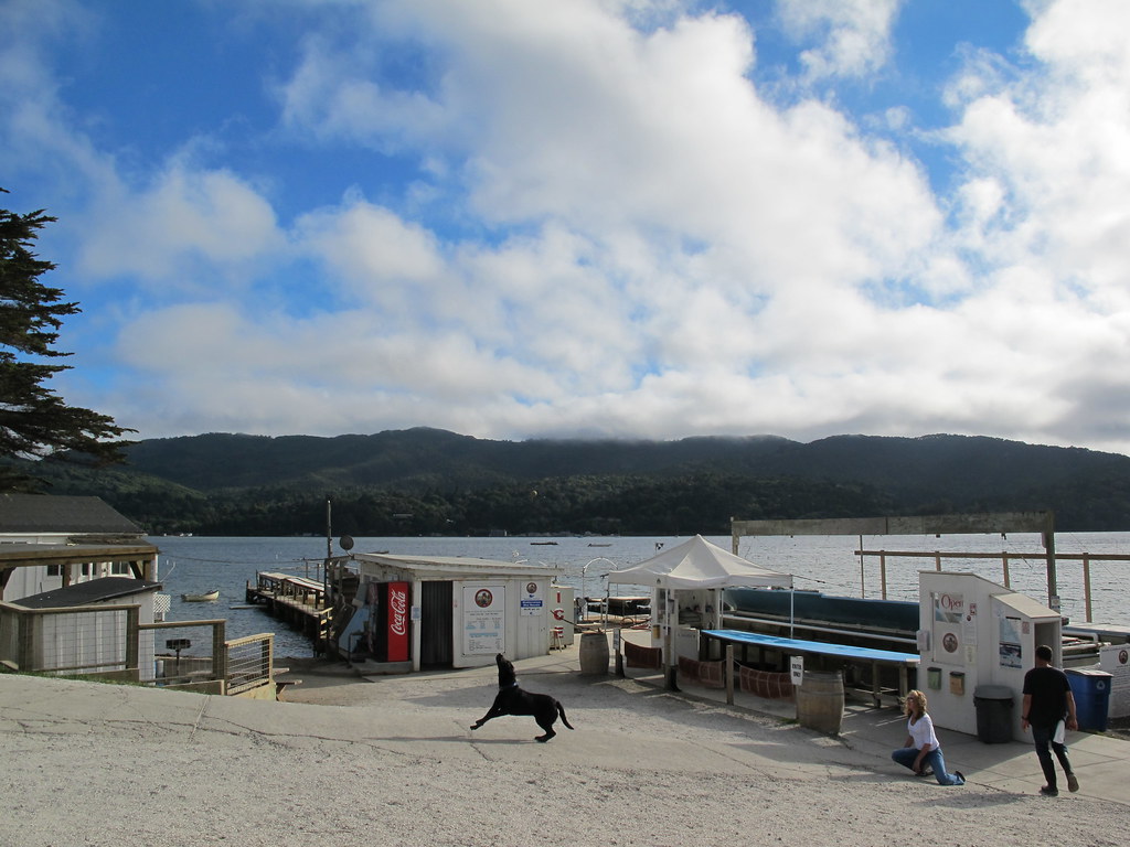 Tomales Bay Oyster Farm Tomales Bay Oyster Farm Flickr